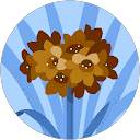 Sara profile picture